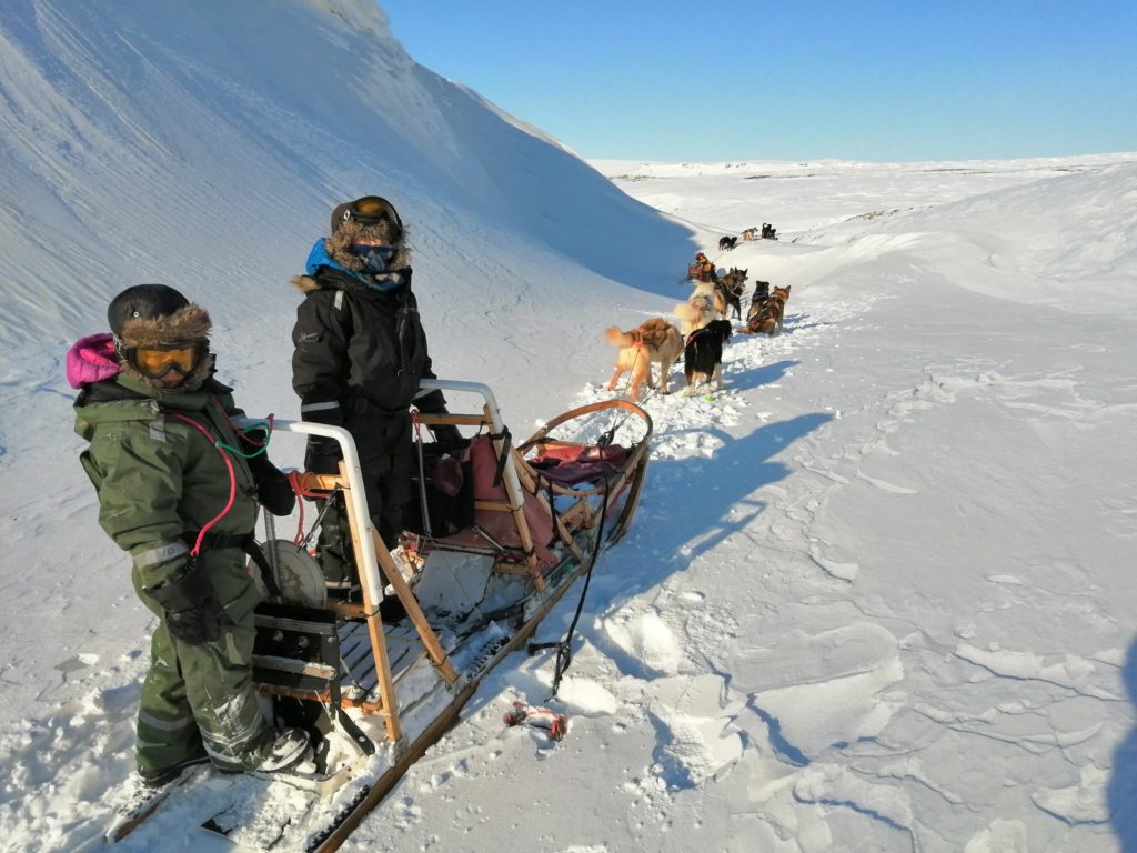 Take your children for dog sledding at Svalbard!